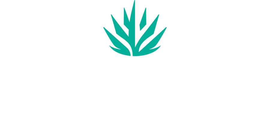 Experience Scottsdale